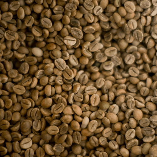 Coffee Beans Arabica