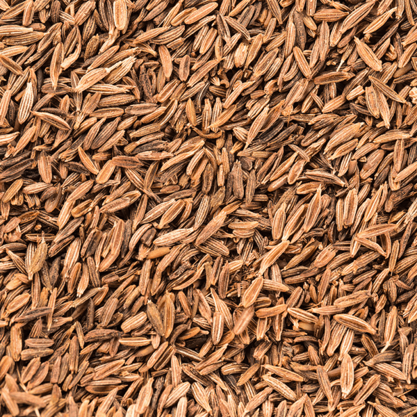 Cumin Seeds Europe Quality