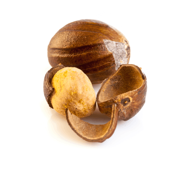 Nutmeg Without Shell