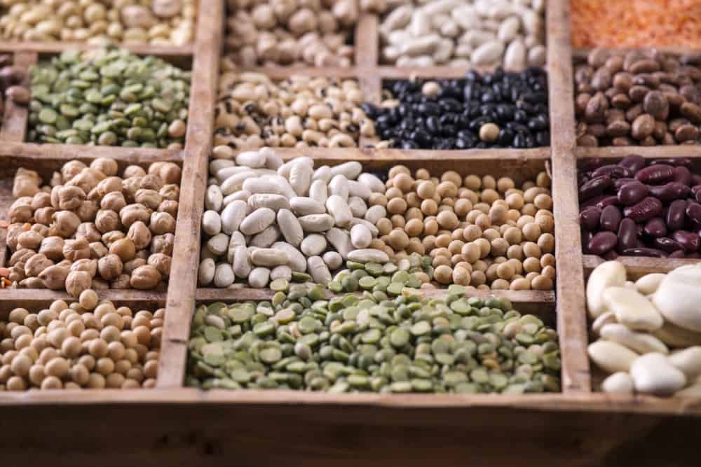 Pulses Beans Category